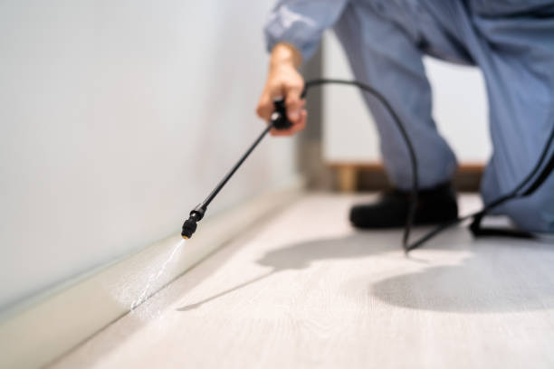 Licensed Cockroach Control service in Appomattox, VA - Nex Pest Control