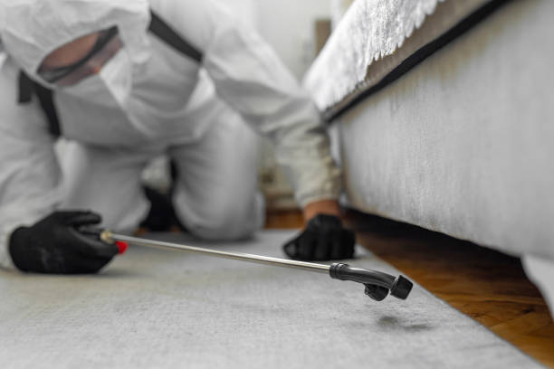 Professional Cockroach Control technician working in Appomattox, VA