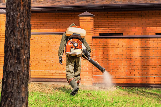 Trusted Ant Control service in Appomattox, VA - Nex Pest Control